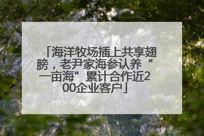 海洋牧场插上共享翅膀，老尹家海参认养“一亩海”累计合作近200企业客户