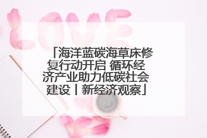 海洋蓝碳海草床修复行动开启 循环经济产业助力低碳社会建设丨新经济观察