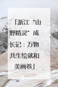 浙江“山野精灵”成长记：万物共生绘就和美画卷