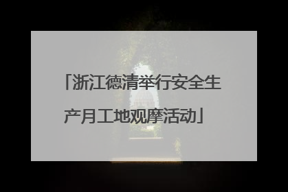 浙江德清举行安全生产月工地观摩活动