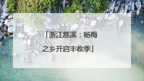浙江慈溪：杨梅之乡开启丰收季