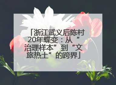 浙江武义后陈村20年蝶变：从“治理样本”到“文旅热土”的跨界