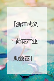 浙江武义：荷花产业助致富