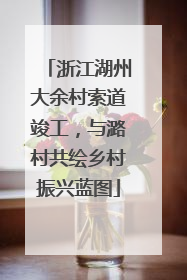 浙江湖州大余村索道竣工，与潞村共绘乡村振兴蓝图