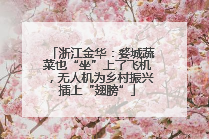 浙江金华：婺城蔬菜也“坐”上了飞机，无人机为乡村振兴插上“翅膀”