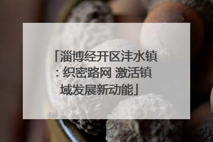 淄博经开区沣水镇：织密路网 激活镇域发展新动能