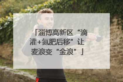 淄博高新区“滴灌+氮肥后移”让麦浪变“金浪”