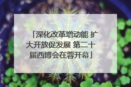 深化改革增动能 扩大开放促发展 第二十届西博会在蓉开幕