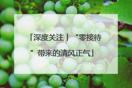 深度关注丨“零接待”带来的清风正气