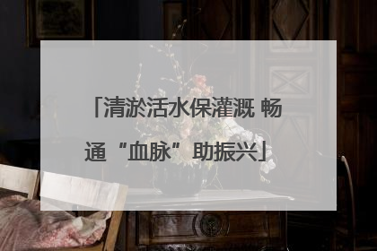 清淤活水保灌溉 畅通“血脉”助振兴