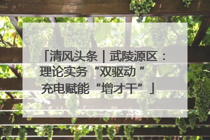 清风头条｜武陵源区：理论实务“双驱动 ” 充电赋能“增才干”