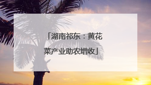 湖南祁东：黄花菜产业助农增收