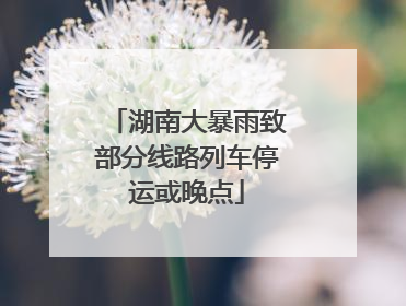 湖南大暴雨致部分线路列车停运或晚点