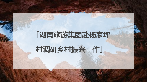湖南旅游集团赴杨家坪村调研乡村振兴工作