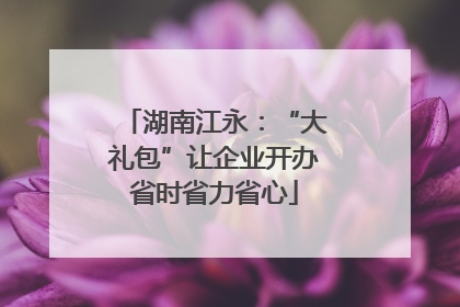湖南江永：“大礼包”让企业开办省时省力省心