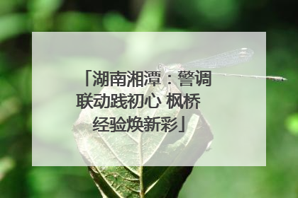 湖南湘潭：警调联动践初心 枫桥经验焕新彩
