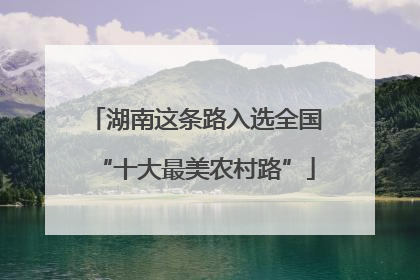湖南这条路入选全国“十大最美农村路”