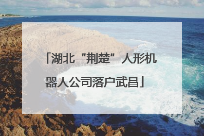 湖北“荆楚”人形机器人公司落户武昌