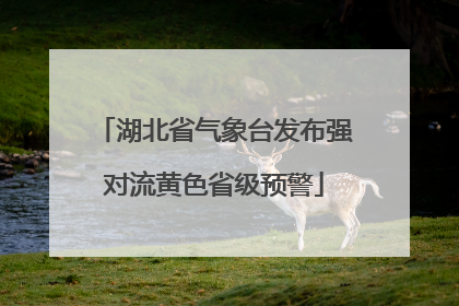 湖北省气象台发布强对流黄色省级预警