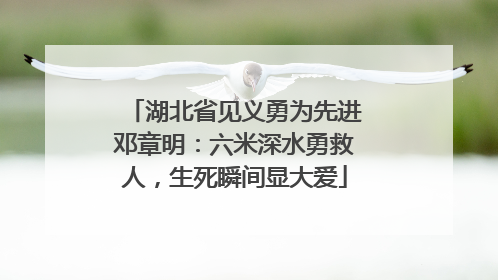湖北省见义勇为先进邓章明：六米深水勇救人，生死瞬间显大爱