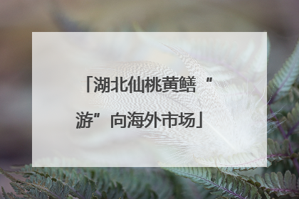湖北仙桃黄鳝“游”向海外市场