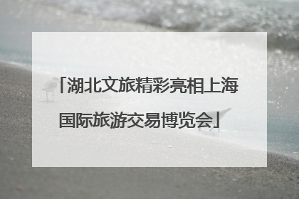 湖北文旅精彩亮相上海国际旅游交易博览会