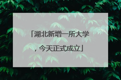 湖北新增一所大学，今天正式成立