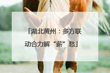 湖北黄州：多方联动合力解“薪”愁