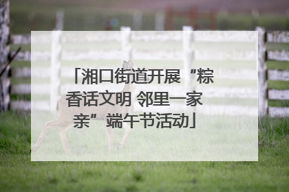 湘口街道开展“粽香话文明 邻里一家亲”端午节活动