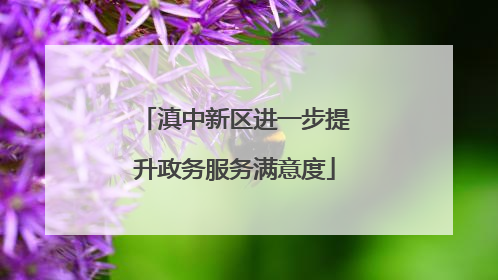 滇中新区进一步提升政务服务满意度