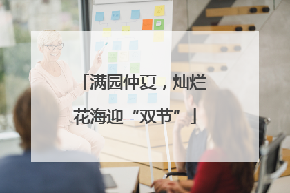 满园仲夏，灿烂花海迎“双节”