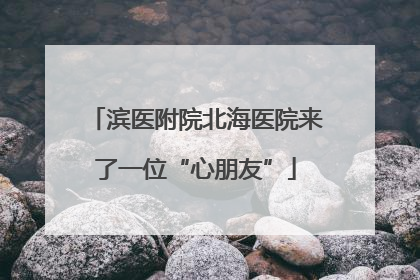 滨医附院北海医院来了一位“心朋友”