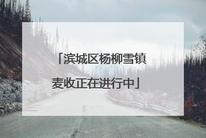 滨城区杨柳雪镇麦收正在进行中