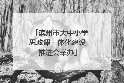 滨州市大中小学思政课一体化建设推进会举办