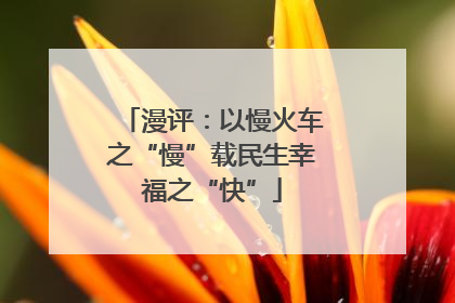 漫评：以慢火车之“慢”载民生幸福之“快”