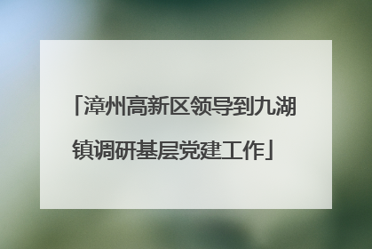 漳州高新区领导到九湖镇调研基层党建工作