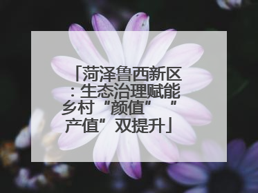 菏泽鲁西新区：生态治理赋能乡村“颜值”“产值”双提升