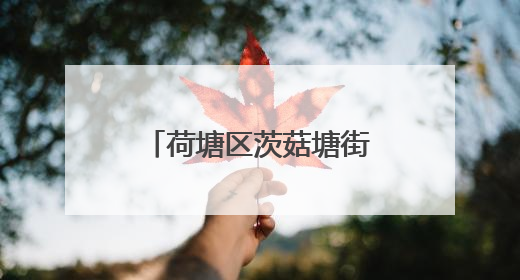 荷塘区茨菇塘街道：党建引领架起连心桥，“双联夜访”织就端午情