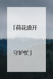 荷花盛开守护忙