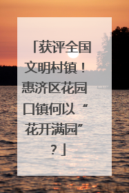 获评全国文明村镇！惠济区花园口镇何以“花开满园”？