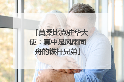 莫桑比克驻华大使：莫中是风雨同舟的铁杆兄弟