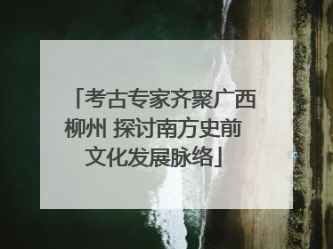 考古专家齐聚广西柳州 探讨南方史前文化发展脉络