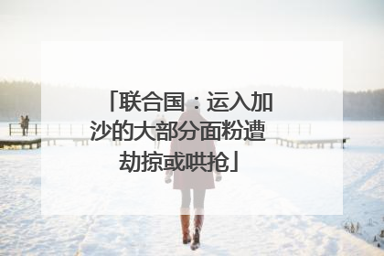 联合国：运入加沙的大部分面粉遭劫掠或哄抢
