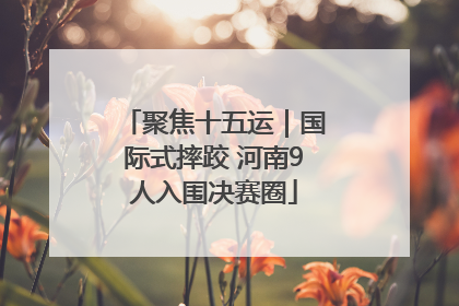 聚焦十五运｜国际式摔跤 河南9人入围决赛圈