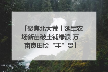 聚焦北大荒丨延军农场新苗破土铺绿浪 万亩良田绘“丰”景