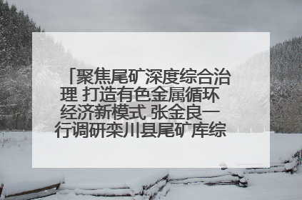 聚焦尾矿深度综合治理 打造有色金属循环经济新模式 张金良一行调研栾川县尾矿库综合治理工作