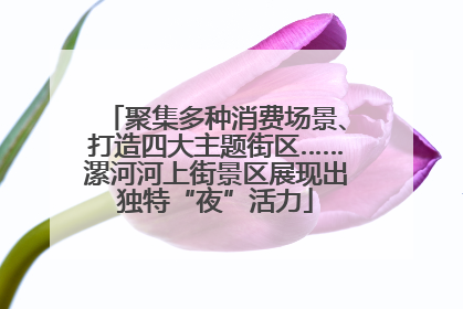 聚集多种消费场景、打造四大主题街区……漯河河上街景区展现出独特“夜”活力