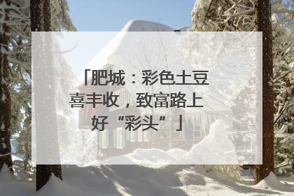肥城：彩色土豆喜丰收，致富路上好“彩头”