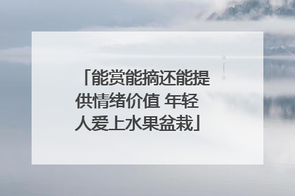 能赏能摘还能提供情绪价值 年轻人爱上水果盆栽