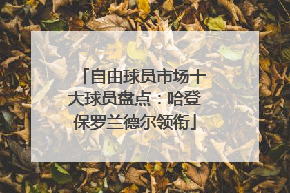 自由球员市场十大球员盘点：哈登保罗兰德尔领衔